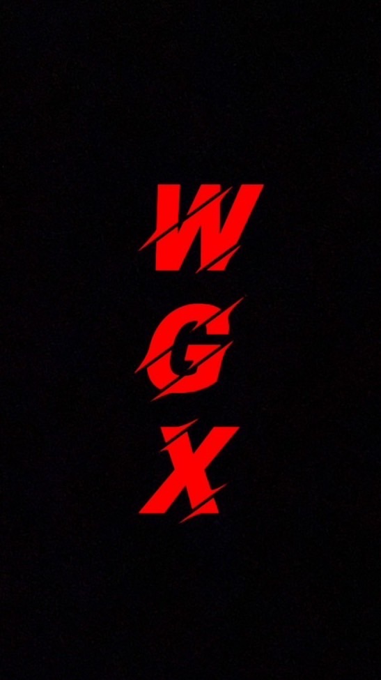 🔰WGX🔰熱血無極限