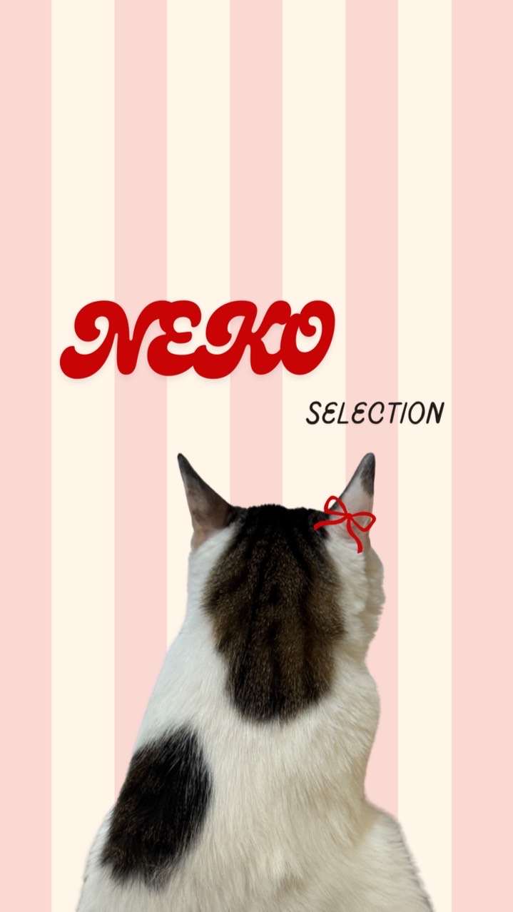 ねこฅNEKO日韓選物🎀