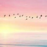 聊天&遊戲&音樂&追星&處關係&福利&圖片&素材&影片