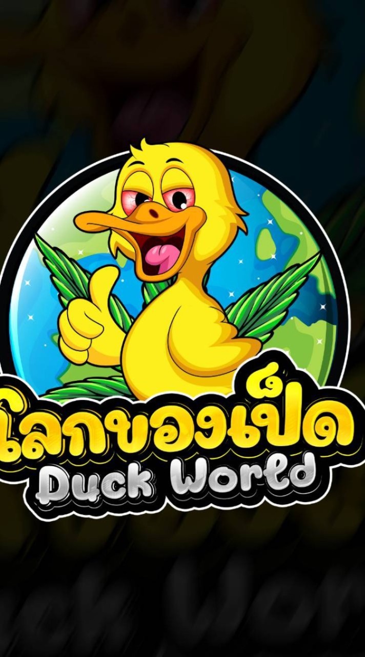 DUCK WORLD
