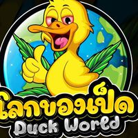 DUCK WORLD