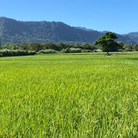 開心自由行地圖Amy
