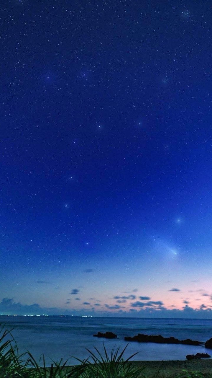 雑談しましょ！