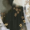 浮世清歡，醉夢流年