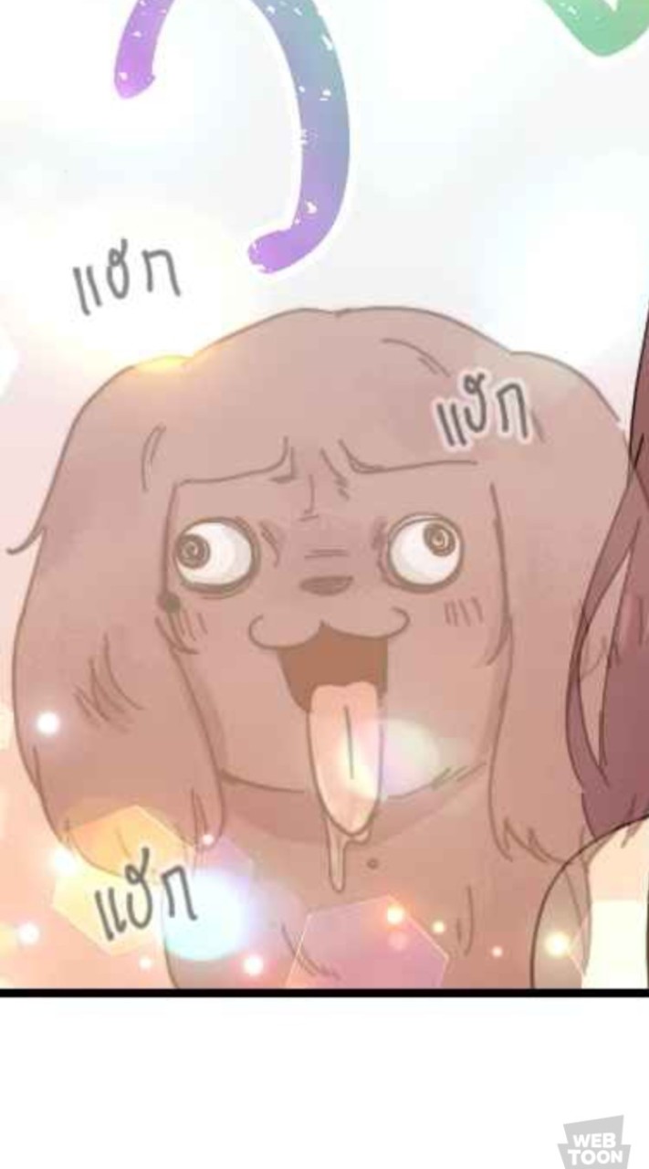 ไก่ปลาหมึก