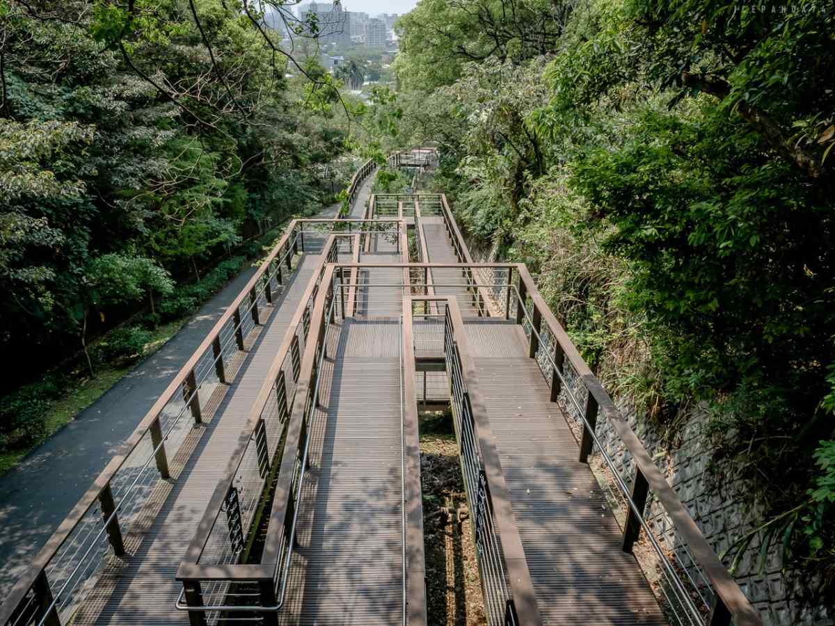 桃園人避暑首選！６條超好走私房步道：夢幻水母廊道、台灣小百岳、瀑布祕境