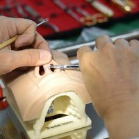 Plastic Surgery & Liposuction Instruments