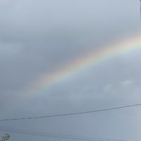 すい臓癌患者のご家族、友人、恋人の方達がお悩みや相談をするお部屋☺