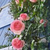 続🌼育てた植物を披露！！飾ったお花などもOK！✨the second