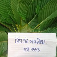 สหายสีเขียว