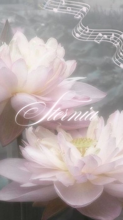 𝒮ter𝓃iA ℰnt. ❦
