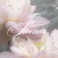 𝒮ter𝓃iA ℰnt. ❦