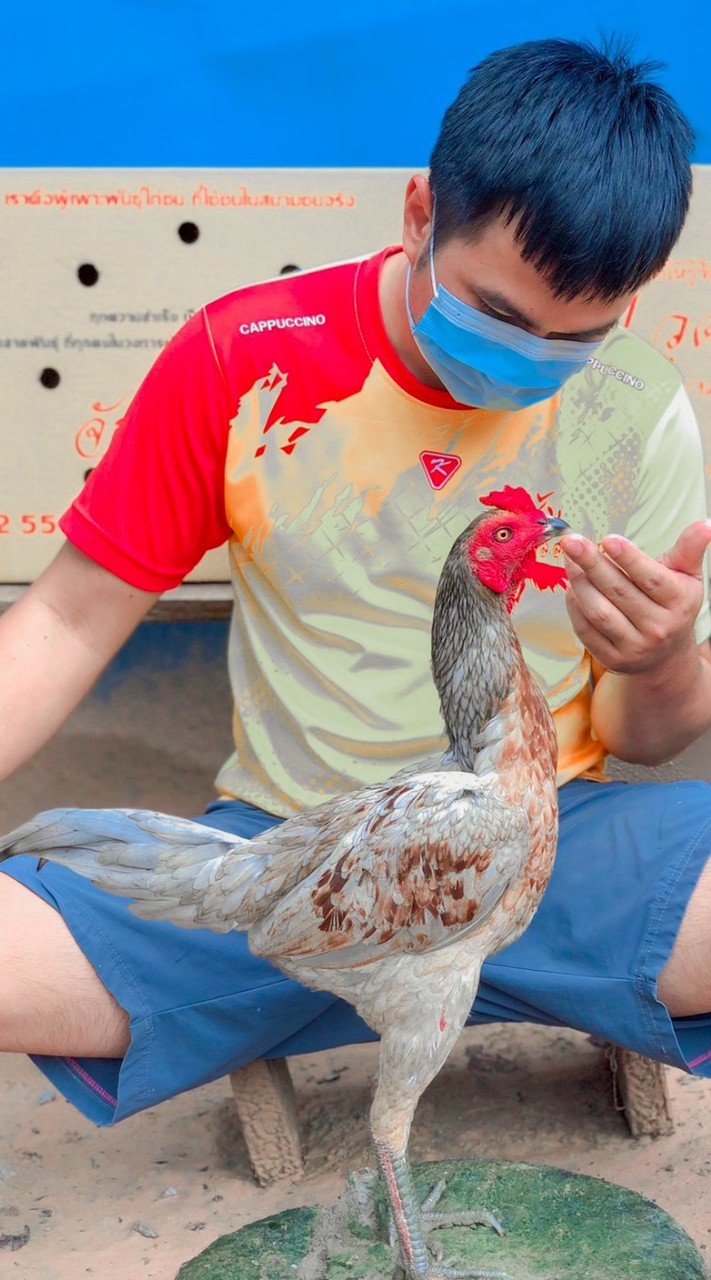 ซุ้ม.น้องอัญญา.ฟาร์มไก่ชน (วัยรุ่นแข้งปลดอาวุธ)