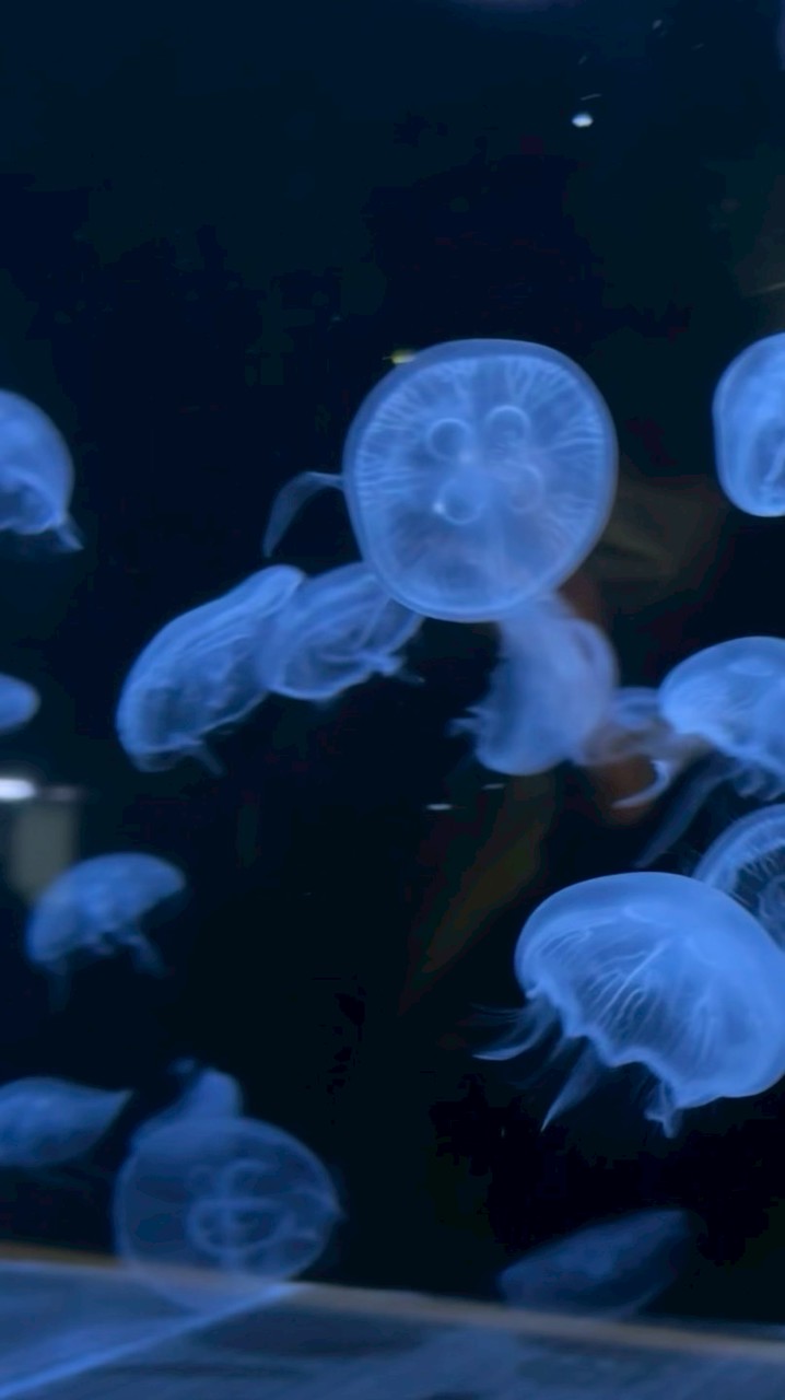 友達つくろう‼️