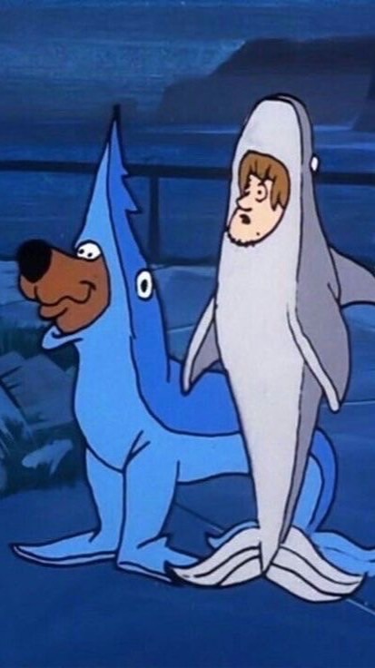 แม่แมวยูมิปล่อยเสื้อ 🐾