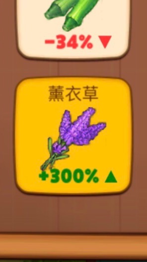 🌟薰衣草200%📈