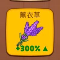 🌟薰衣草200%📈