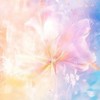 TikTokライト協力、その他有