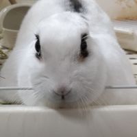 雑談・歌・ボイメみんなでほのぼの(⁠*⁠´⁠ω⁠｀⁠*⁠)