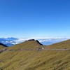 雲林地區美食/旅行/活動-自由聊天社群