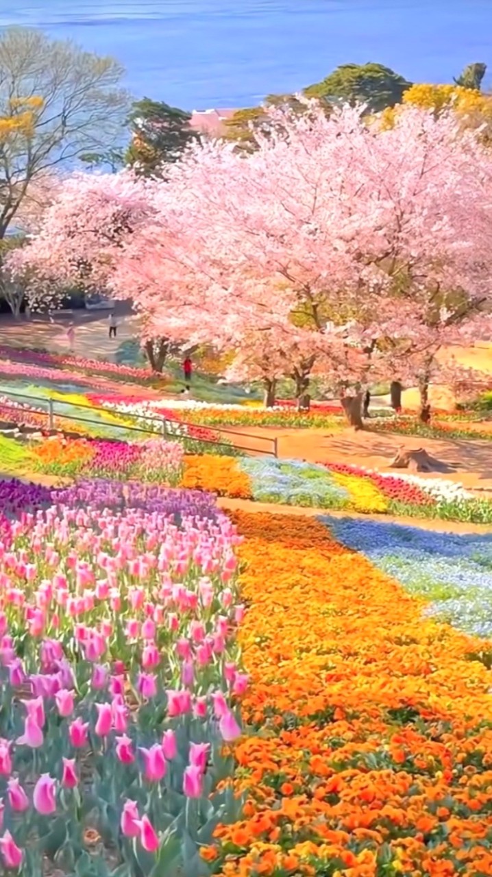 小小幸福🪺🌲🌸🌈🌷🌻小確幸～*