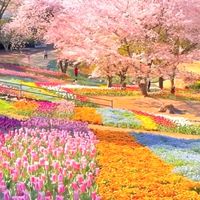 小小幸福🪺🌲🌸🌈🌷🌻小確幸～*