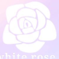 ෆwhite roseෆ