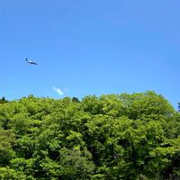 全国🧸令和3年度ベビー(2021.4.2〜22.4.1)のママ&マタママ集まれ！