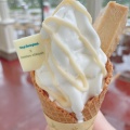 チーズクリームレモン - 実際訪問したユーザーが直接撮影して投稿した舞浜アイスクリーム東京ディズニーランド アイスクリームコーンの写真のメニュー情報