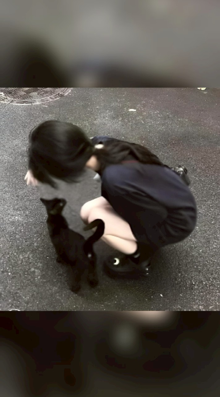 聊天/放閃/處關系/認親（？(⁎⁍̴̛ᴗ⁍̴̛⁎)