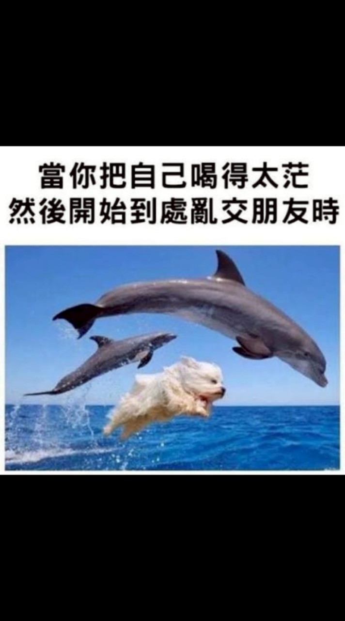 新竹玩耍群