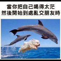 新竹玩耍群