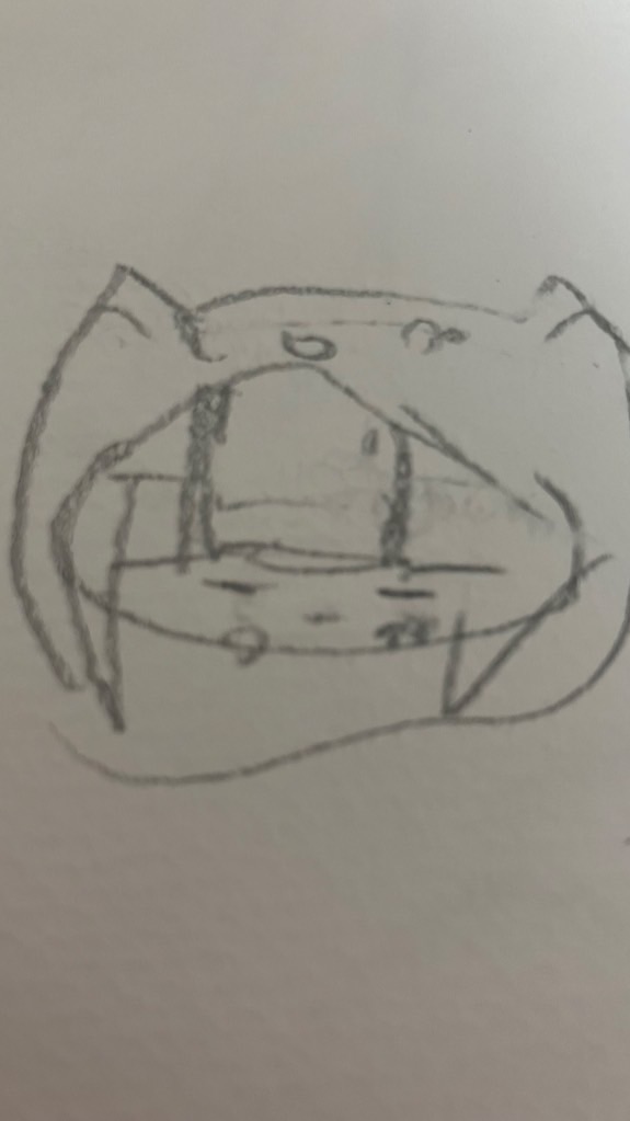 ちろぴの好きな人集まれー！