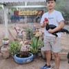ซุ้มศรรักษ์ไก่ชนฟาร์ม แหล่งพัฒนาพม่าแข้งเรดาร์