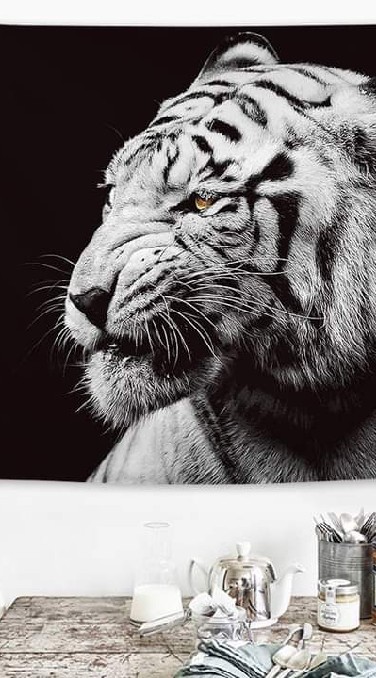 โครตๆเฮงXBET🥂