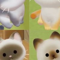 心動幼稚園