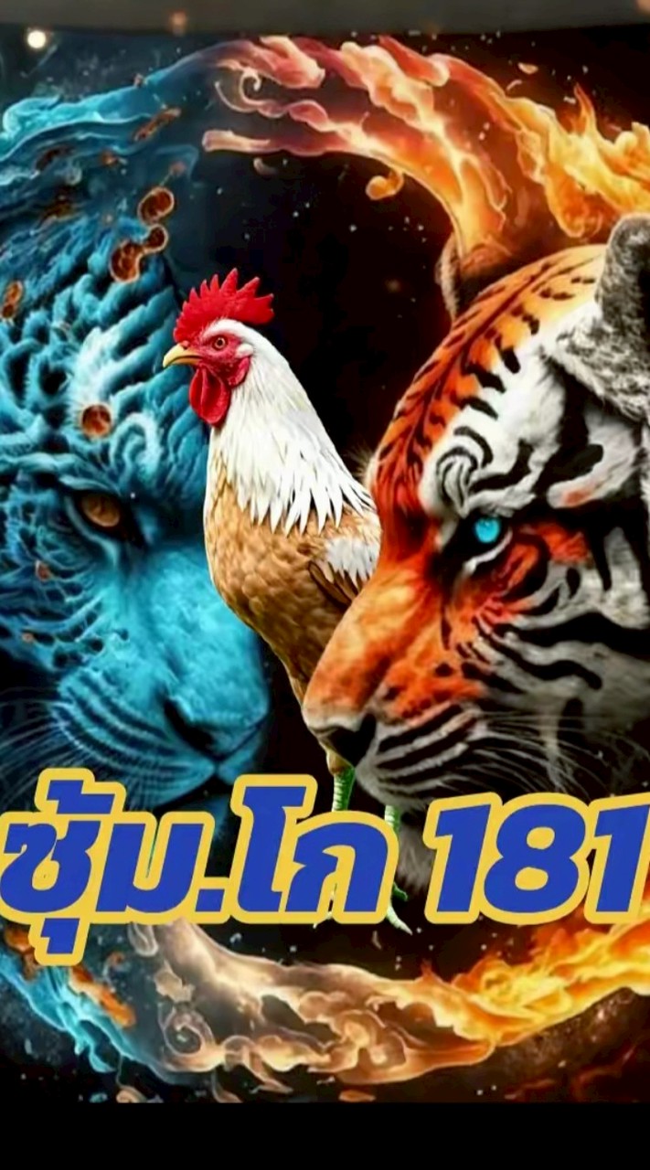 โก 181  พยัคฆ์เล็ก+มานะ(ส.สนั้น/บิ๊กไบร์ท)