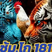 โก 181  พยัคฆ์เล็ก+มานะ(ส.สนั้น/บิ๊กไบร์ท)