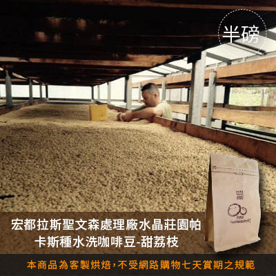 【咖啡綠商號】宏都拉斯聖文森處理廠水晶莊園帕卡斯種水洗咖啡豆-甜荔枝(半磅)