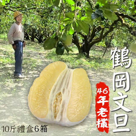 【鶴岡嚴選】老欉46年花蓮鶴岡特優文旦10斤禮盒6箱(10-14顆/箱)