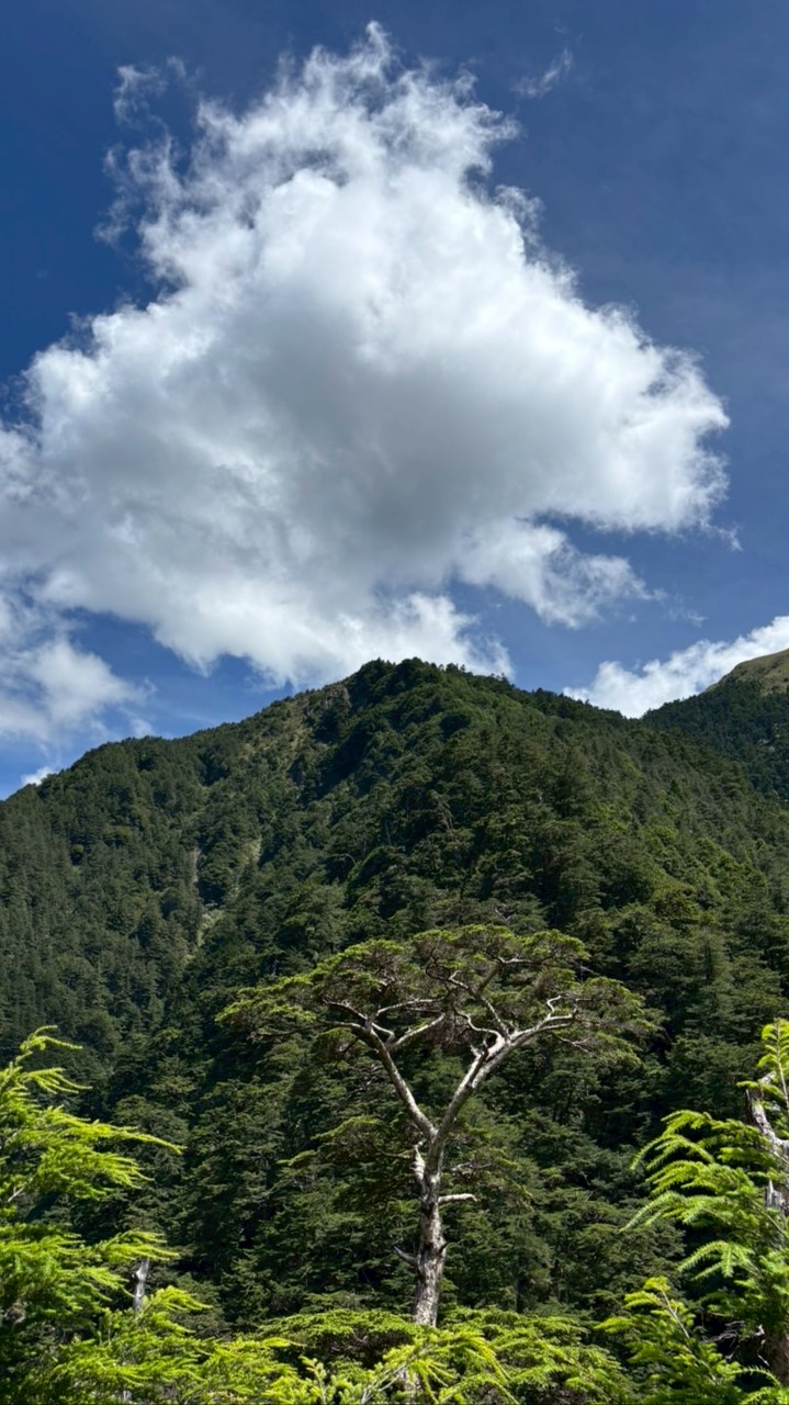 忠和114-201英語群組