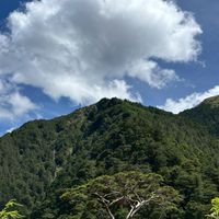 忠和114-201英語群組
