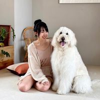 天国行きのバス