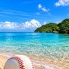 石垣島スポーツ応援プロジェクト