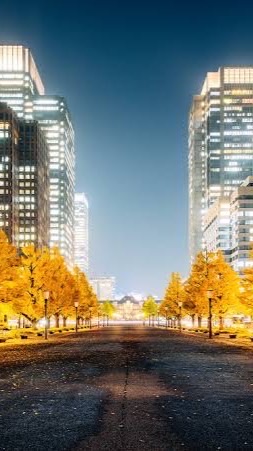 三笠|架空国家|Novaluxのオープンチャット