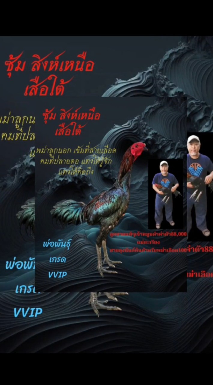 ซุ้ม สิงห์เหนือ เสือใต้
