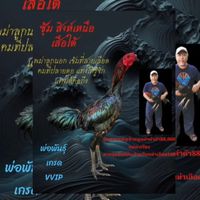 ซุ้ม สิงห์เหนือ เสือใต้
