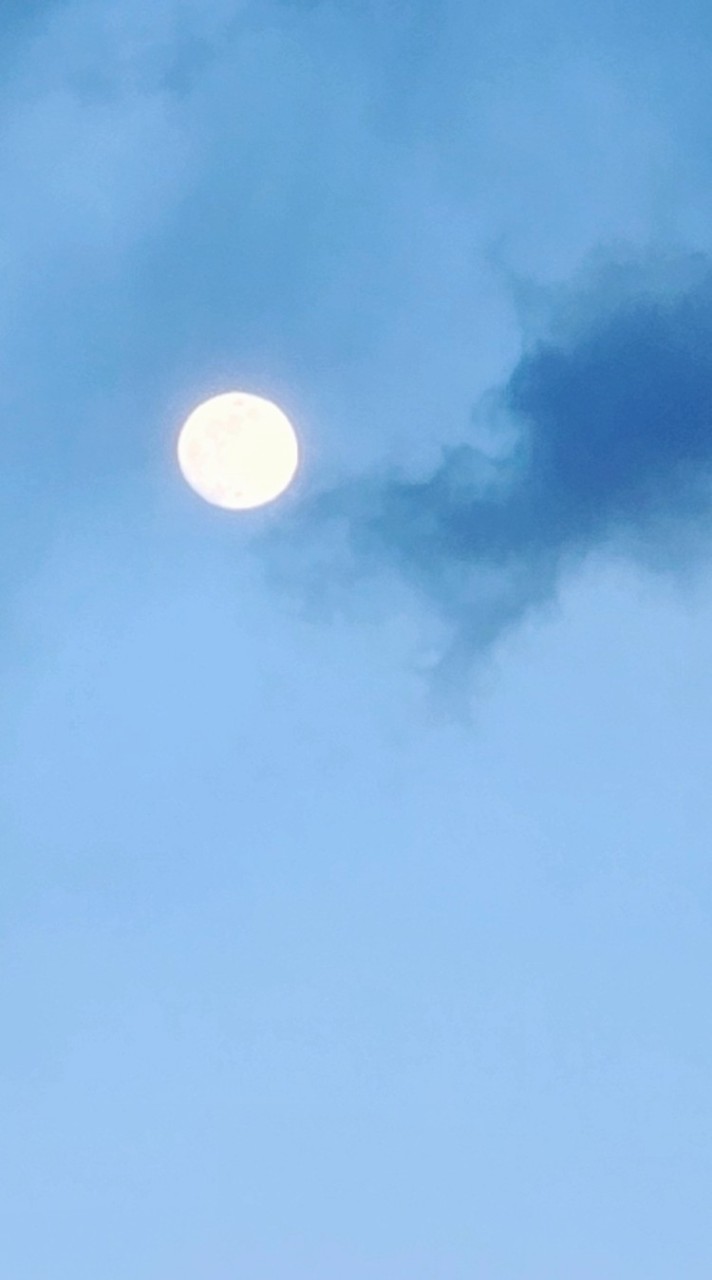 【どこでもドア】旅行✈️行きたい🚄行くよー👜