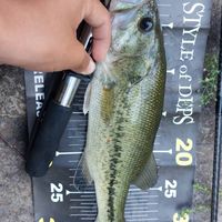 釣りの情報交換