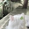 . 𐔌 與 你 共 度 星 河 ഒ
